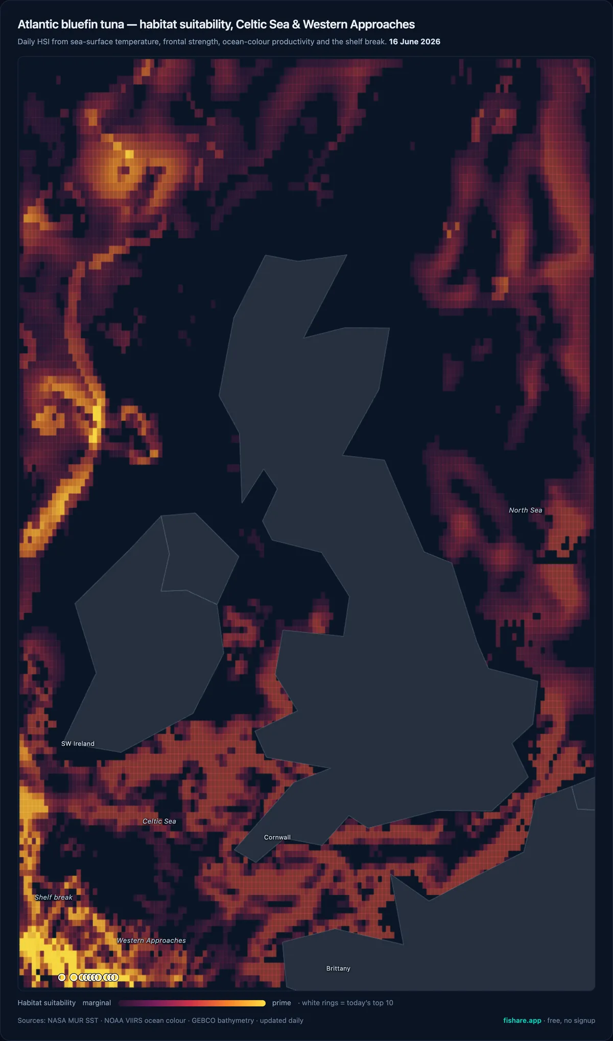 Fishare's Atlantic bluefin habitat (HSI) map for the Celtic Sea and Western Approaches — the productive shelf-edge water off the south-west and around south-west Ireland lights up brightest, with the day's top-10 marks ringed in white.